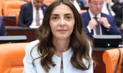 CHP'li Altaca Kayışoğlu'ndan 'alt komisyon' çağrısı