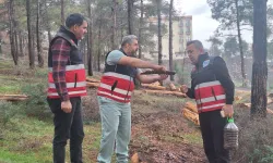 Hatay'da mücbir ağaç kesimlerine 'Tabiatı Koruma'dan açıklama