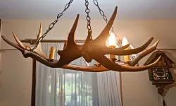 Tekirdağ kaçak tahnit ve trofe operasyonu... 40 parça ele geçirildi