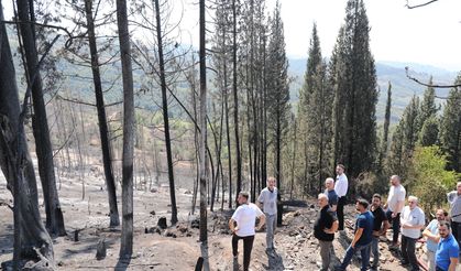 Karamürsel'de Büyük Orman Yangını Söndürüldü