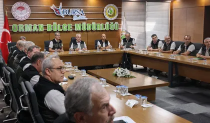 Yangın sonrası rehabilitasyon faaliyetlerini inceledi