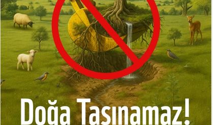 “Doğa Taşınamaz, Ekosistem Yerinden Edilemez”