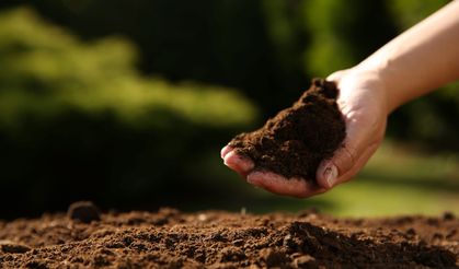 TEMA Vakfı: Sağlıklı topraklara ihtiyacımız var!