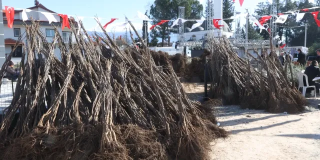 Üreticilere balık yemi desteği