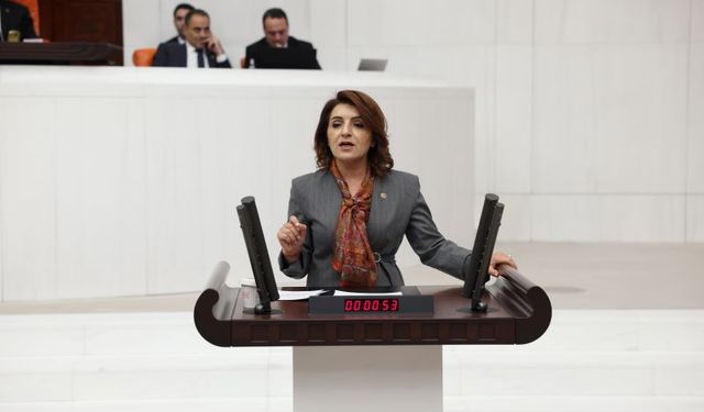 CHP'li Gülcan Kış: Ayıbınızı böyle mi örtüyorsunuz?