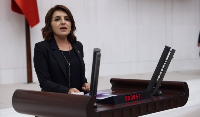 Gülcan Kış: İş dünyasını, üretimi, emeği bitirdiniz!