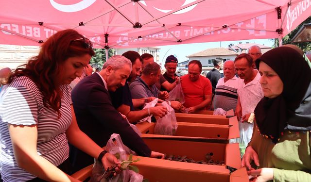 Akmeşe’de vatandaşlara binlerce fide dağıtıldı