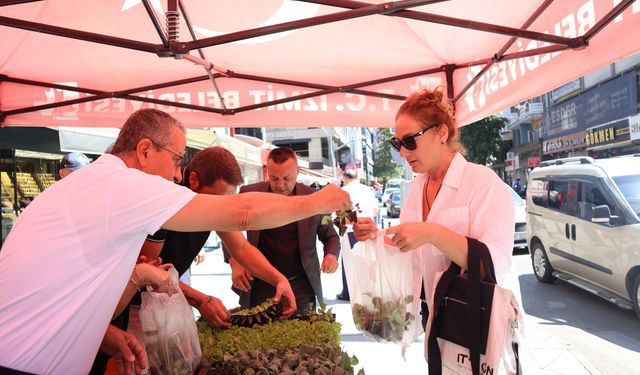 İzmit Belediyesin vatandaşlara fide dağıttı