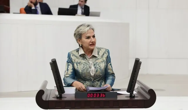 CHP'li vekil  öğrencilerin aç okula gitmesini TBMM'ye taşıdı