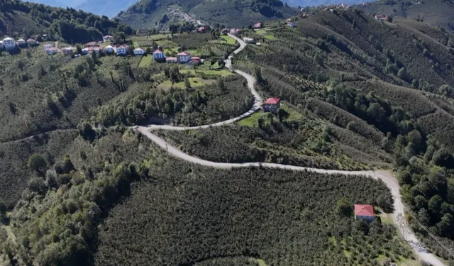 Ordu Gürgentepe’de ulaşım konforu artıyor