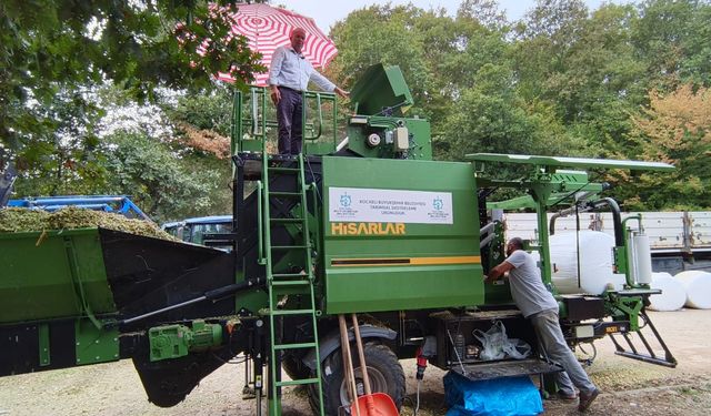 Kocaeli'de Silajda yüzde 30’luk verim kaybı sıfırlandı