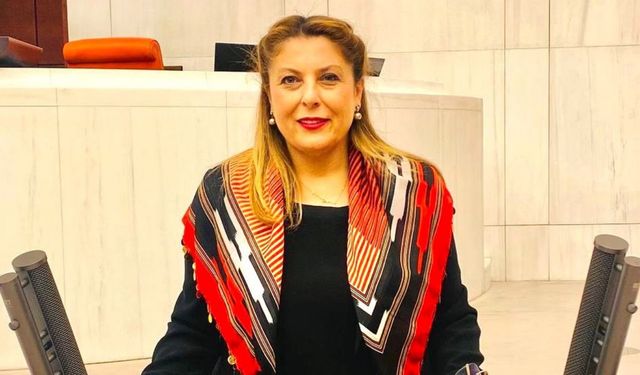 CHP'li Elvan Işık Gezmiş TBMM'de yeni döneme hazır