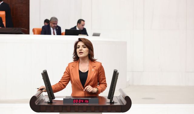 CHP’li Gülcan Kış: Vatandaş kiraya çalışıyor!