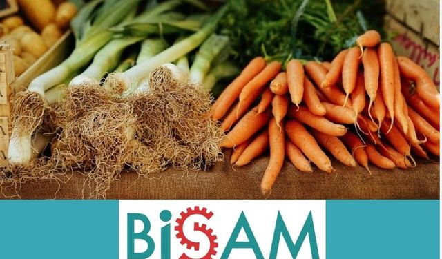 BİSAM: Yoksulluk Sınırı 91 Bin 381 Lira!