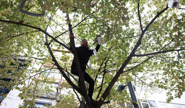 Kocaeli'de kitaplar rengarenk çiçek açtı