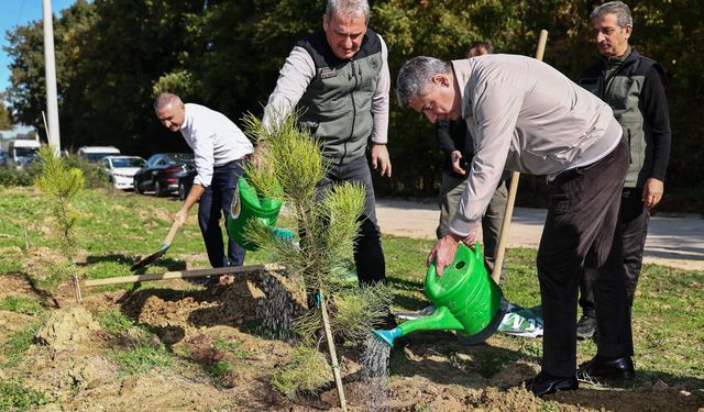 Yıldızlar Yatırım Holding'den 22 bin 500 fidan!