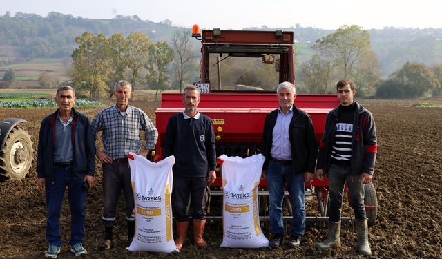 Kocaeli'de hibeli tohumlar toprakla buluştu