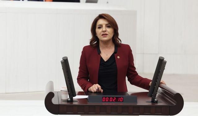 Gülcan Kış: Sadece beyinler değil, umutlar da göç ediyor!