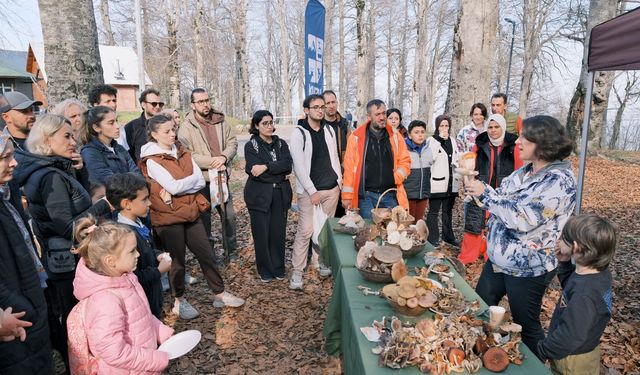 Kuzuyayla’da mantarların gizemli dünyası keşfedildi