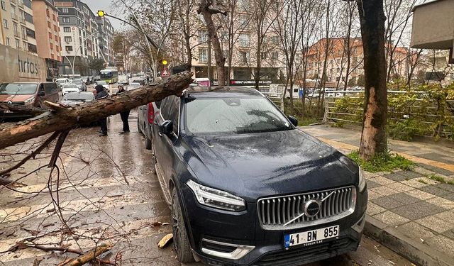 İYİ Parti İlçe Başkanının Aracına Ağaç Devrildi!