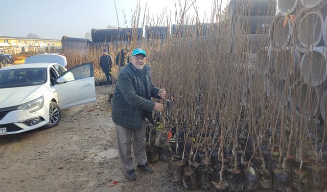Üreticilere 50 hibeli fidan desteği sağlanacak