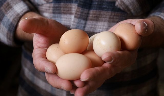 Büyükşehir Belediyesi Üreticiye Can Suyu Oldu