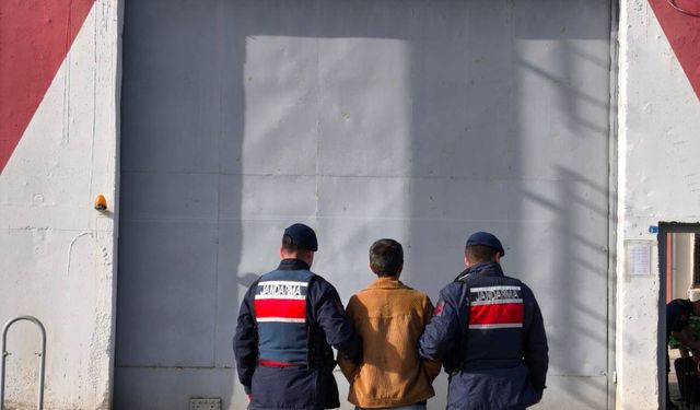 Jandarma Aranan Hükümlüyü Yakaladı