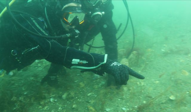 Büyükakın bu kez Gebze Eskihisar’da dalış yaptı