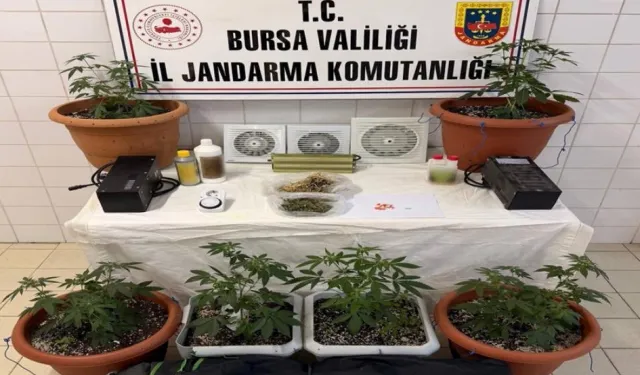 Bursa Nilüfer'de jandarmadan operasyon