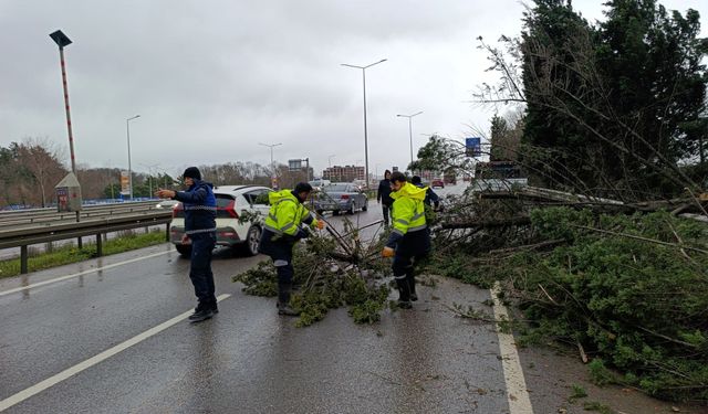 Büyükşehir ekipleri şiddetli lodosa karşı teyakkuzda