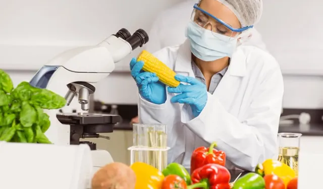 Gıda katkı maddelerine yeni düzenleme...