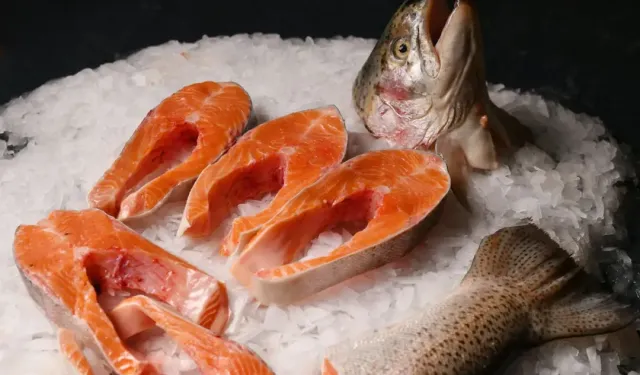 Karadenizin gururu... Türk somonu su ürünleri ihracatının yeni lokomotifi