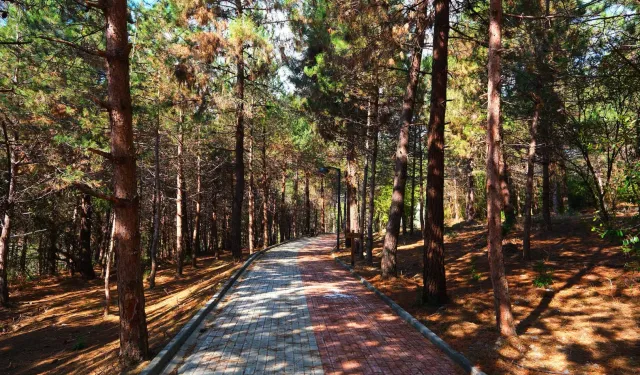 Sakarya'da Sapanca Gölü'nde huzur dolu yaşam alanı açıldı