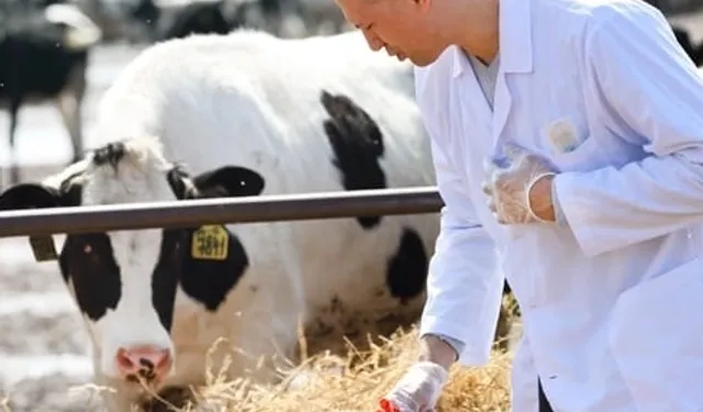 Tarımda maliyet yükü artıyor! Girdi fiyatlarında veteriner harcamaları zirveyi bırakmıyor!