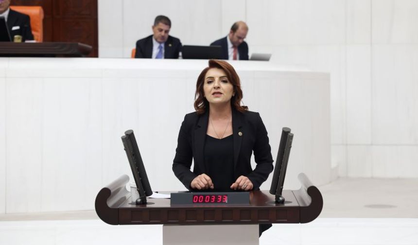 CHP'li Gülcan Kış: “Vatandaş borçla nefes almaya çalışıyor!”