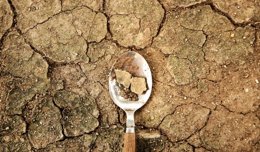 TEMA Vakfı: Toprak Yoksa Su, Su Yoksa Gıda Yok!