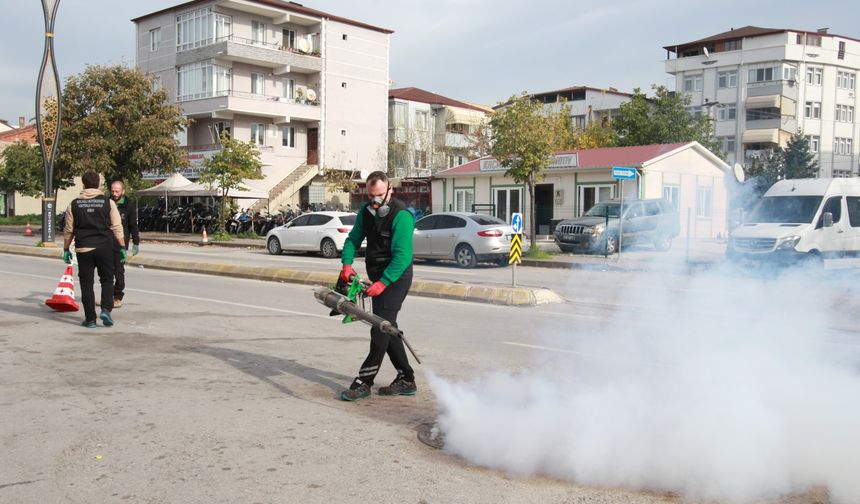 Kocaeli'de sinekle mücadele hız kesmiyor