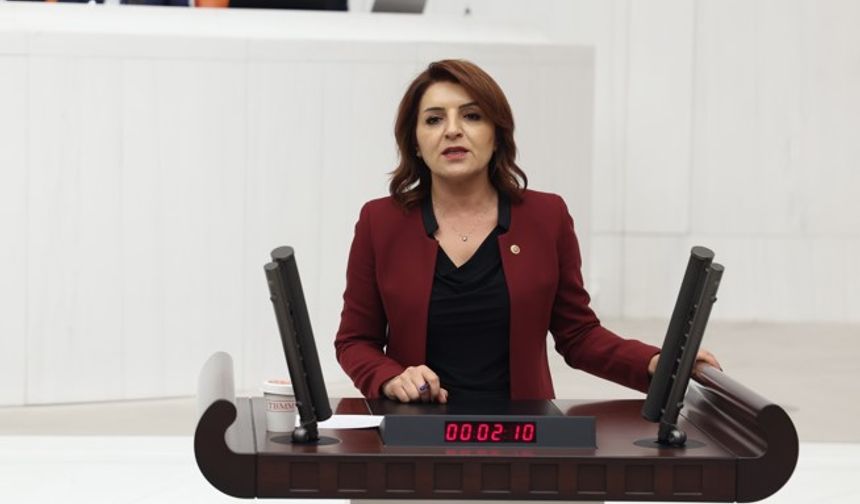 Gülcan Kış: Sadece beyinler değil, umutlar da göç ediyor!