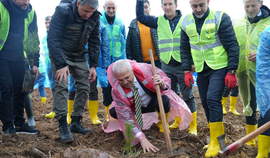 Gebze Ticaret Odası Hatıra Ormanına 15.000 Fidan