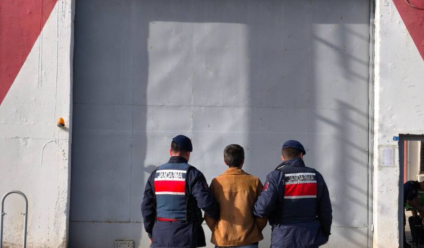Jandarma Aranan Hükümlüyü Yakaladı