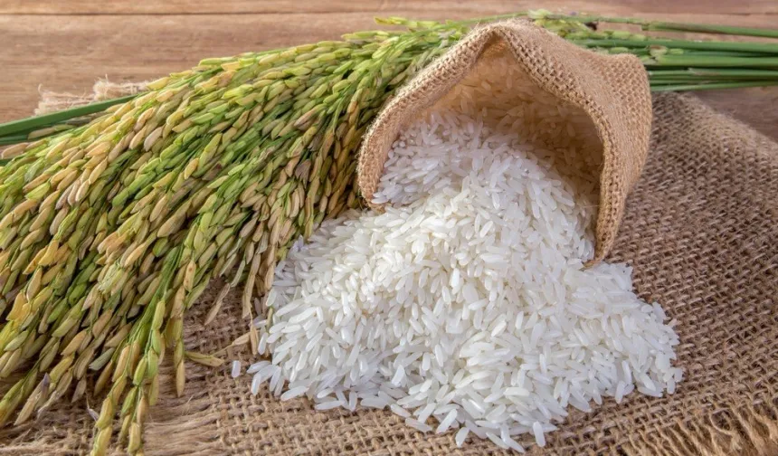 Çeltik üreticisi alarm veriyor!