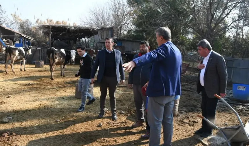 CHP'li Gaytancıoğlu'ndan et ithalatına sert eleştiri