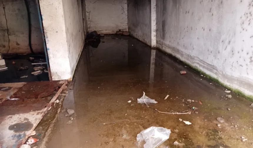 Keşan Balık Hali esnafı kanalizasyon mağduru!